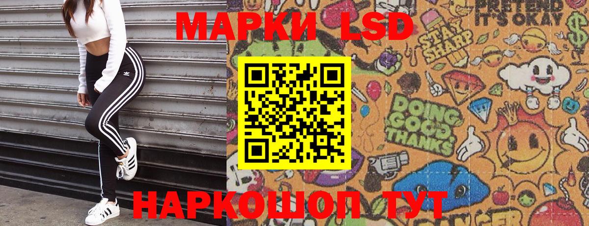 Наркотические марки 1,5мг  Вход с VPN  Кольчугино  Наркотические марки  Наркотические марки 1,5мг 