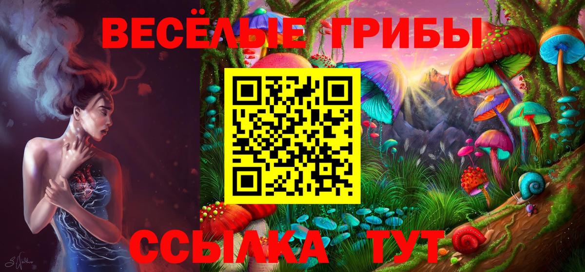 Кольчугино  Псилоцибиновые грибы Magic Shrooms  Псилоцибиновые грибы GOLDEN TEACHER  Вход с VPN 